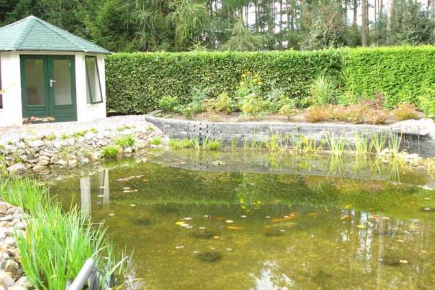 helderen natuurlijke vijver in belgie, op de achtergrond een tuinprieel